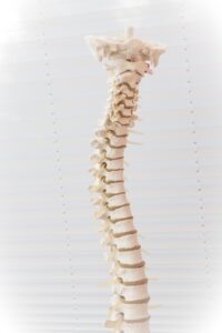 40代におすすめの腰痛対策高反発マットレスランキングは？