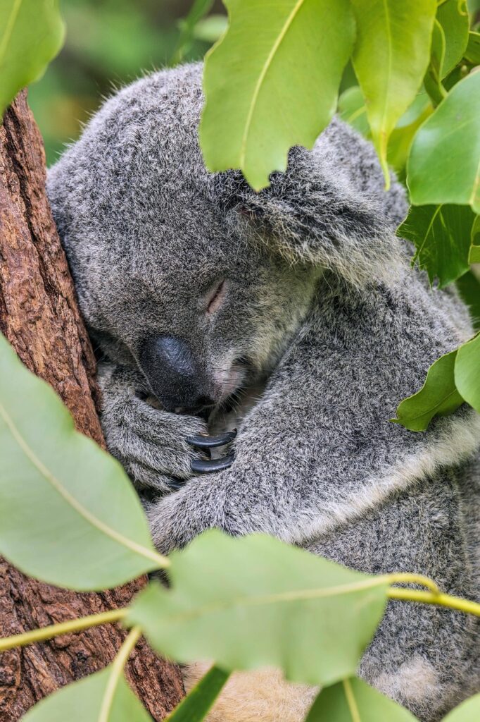 正しい寝姿勢を保つための敷布団の選び方は？