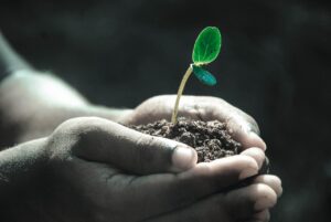 高反発敷布団の寿命は何年で、長持ちさせるコツは？