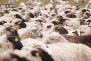 国産敷布団が腰痛改善に効果的な理由とは？