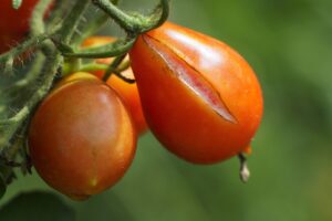 合わなかった理由を知ることで改善できるポイントは？